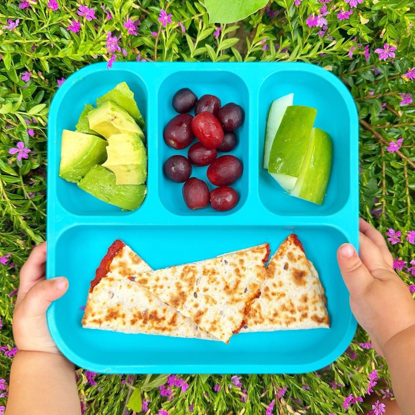 a toddler holding a bobo&boo divided plate with avocado, grapes, cucumbers & wraps