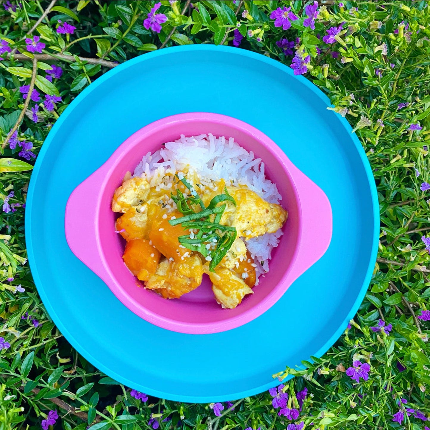bamboo plant-based snack bowl and plate with curry & rice in it