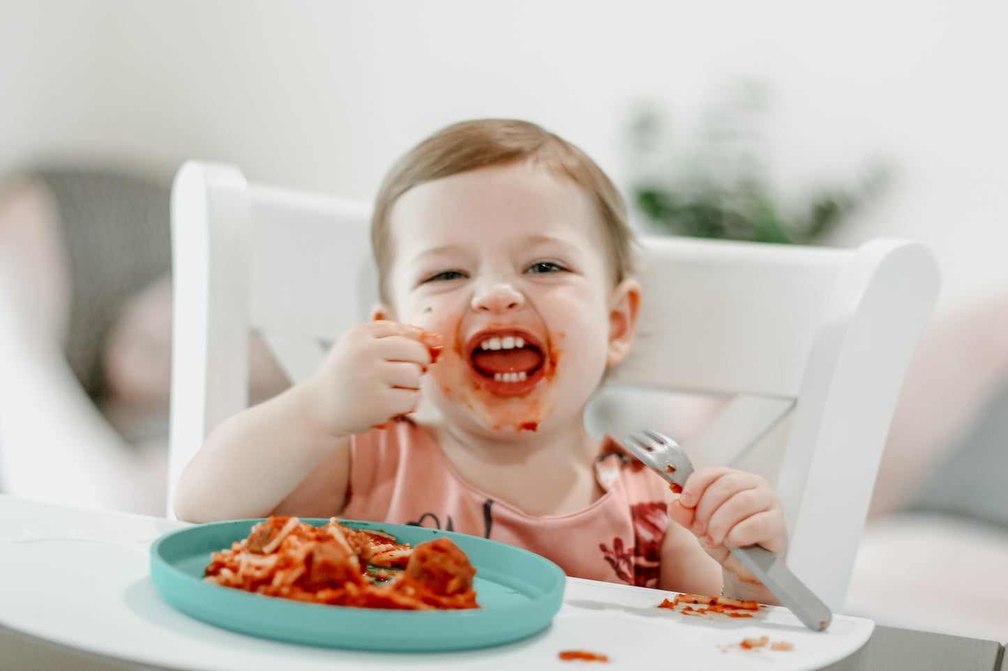 BUNDLE - Family Mix Pack (24 Pieces)